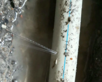 潼南卫生间测漏水多少钱
